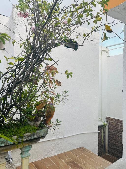 Apartamento En La Calle 56 Playa del Carmen